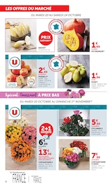 Promos Jardinage dans le catalogue "Halloween À PRIX BAS" de U Express Jardinage en promo dans le catalogue U Express à la page 8