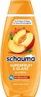 Superfruit & Glanz Shampoo bei EDEKA im Arnsberg Prospekt für 1,49 €