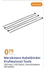 Kabelbinder Professional Tools im Angebot bei Action in Hagen Kabelbinder Professional Tools Angebote von Werckmann bei Action Hagen für 0,79 €