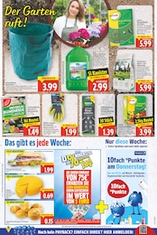 Rasendünger Angebot im aktuellen E center Prospekt auf Seite 21