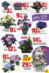 Le Pain Des Fleurs Le Pain Des Fleurs