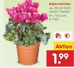 Angebot im Netto Marken-Discount Buxheim, UnterallgĂ€u Prospekt Netto Marken-Discount Buxheim, UnterallgĂ€u Prospekt mit im Angebot fĂŒr 1,99 âŹ