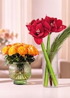 Moosrosen von  im aktuellen Netto Marken-Discount Prospekt für 1,99 €