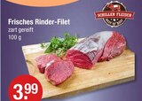 Frisches Rinder-Filet Angebote von Schiller Fleisch bei V-Markt Kempten für 3,99 €
