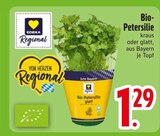 Bio-Petersilie Angebote von REWE Regional bei EDEKA Ravensburg für 1,29 €