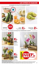 Fleurs Angebote im Prospekt "Super U" von Super U Fleurs Angebote im Prospekt "Super U" von Super U auf Seite 17
