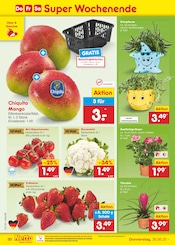 Erdbeeren im Netto Marken-Discount Prospekt in Kempten Aktueller Netto Marken-Discount Prospekt mit Erdbeeren, "Aktuelle Angebote", Seite 44