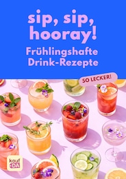 Rezepte Prospekt für Sanitz: "Drinks", 1 Seite, 04.05.2026 - 20.05.2026