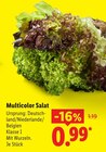 Aktuelles Multicolor Salat Angebot bei Lidl in Nürnberg ab 0,99 €