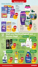 Softlan im Penny Prospekt in Halle Aktueller Penny Prospekt mit Softlan, "Wer günstig will, muss Penny.", Seite 17