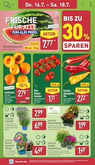 ALDI Nord Prospekt der aktuellen Woche, gĂĽltig von 13.07.2026 bis 18.07.2026 Aktueller ALDI Nord Prospekt "Aktuelle Angebote" mit 37 Seiten