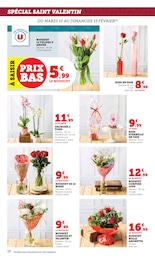 Offre Plante D'intérieur dans le catalogue Super U du moment à la page 18