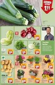 Blumen im REWE Prospekt in Heidenheim Aktueller REWE Prospekt mit Blumen, "Dein Markt", Seite 7