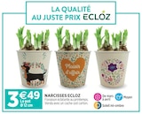 Promo Narcisses ECLOZ à 3,49 € dans le catalogue Delbard à Le Porge