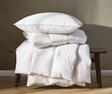 Ganzjahresbett Angebote von Centa-Star bei XXXLutz Albstadt für 69,99 €