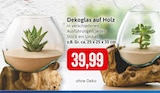 Dekoglas auf Holz Angebote bei Kaufhaus Stolz Wismar für 39,99 €