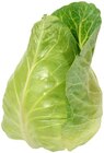 Spitzkohl im Angebot bei REWE in Mannheim Spitzkohl Angebote von REWE Regional bei REWE Mannheim für 0,99 €