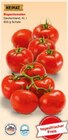 Aktuelle Tomaten Angebote bei Netto Marken-Discount in Hildesheim Aktuelles Rispentomaten Angebot bei Netto Marken-Discount in Hildesheim