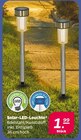 Solar-LED-Leuchte im aktuellen Netto mit dem Scottie Prospekt
