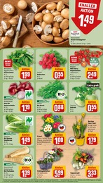 Tomaten Angebot & Preis im aktuellen REWE Prospekt Tomaten Angebot im aktuellen REWE Prospekt auf Seite 7