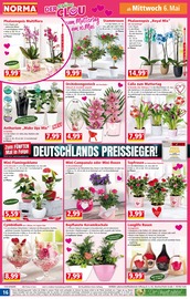 Aktueller Norma Prospekt mit Orchidee, "Mehr fürs Geld", Seite 16