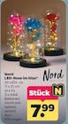 LED-Rose im Glas von Nord für 7,99 € bei Netto mit dem Scottie im Angebot LED-Rose im Glas von Nord im aktuellen Netto mit dem Scottie Prospekt