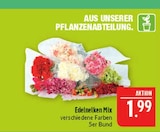 Edelnelken Mix Angebote bei Marktkauf Nürnberg für 1,99 €