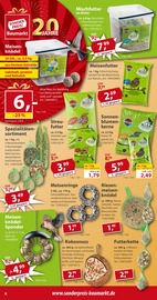 Sonnenblume im Sonderpreis Baumarkt Prospekt in Göttingen Aktueller Sonderpreis Baumarkt Prospekt mit Sonnenblume, "20 JAHRE STARKE PREISE", Seite 8