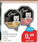 Hundenahrung von Cesar im aktuellen budni Prospekt für 0,69 €