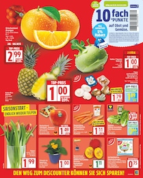 Romanasalat Angebot im aktuellen EDEKA Prospekt auf Seite 5