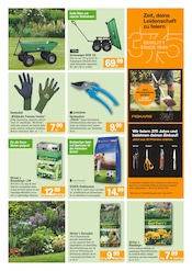 Aktueller WERKMARKT Prospekt mit Gartenpflanzen, "Unsere aktuelle Werbung", Seite 5