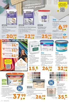 Farbe im Globus-Baumarkt Prospekt "Immer eine Idee besser" mit 12 Seiten (Koblenz)