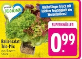 Ballensalat Trio-Mix Angebote von genial REGIONAL bei EDEKA Friedrichshafen für 0,99 €