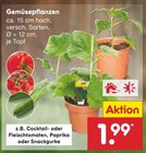 Cocktail- oder Fleischtomaten, Paprika oder Snackgurke Angebote bei Netto Marken-Discount Dorsten für 1,99 €