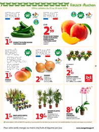 Prix et réduction Nectarine dans le prospectus Auchan Hypermarché en cours Offre Nectarine dans le catalogue Auchan Hypermarché du moment à la page 29