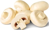 Riesenchampignons für 1,89 € bei Penny im Angebot Riesenchampignons im aktuellen Penny Prospekt