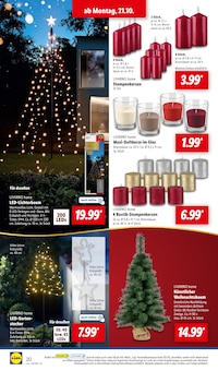 Weihnachtsbaum im Lidl Prospekt "LIDL LOHNT SICH" mit 63 Seiten (Filderstadt)