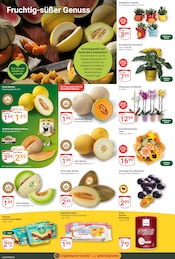 Aktueller GLOBUS Prospekt mit Kiwi, "Aktuelle Angebote", Seite 9