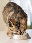 Katzen Nassnahrung im Angebot bei EDEKA in Kiel Katzen Nassnahrung Angebote von Whiskas bei EDEKA Kiel für 3,99 €