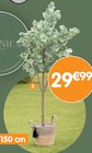 Eucalyptus artificiel en promo chez B&M Eucalyptus artificiel dans le catalogue B&M