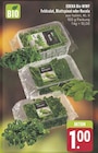 Feldsalat bei EDEKA im Nördlingen Prospekt für 1,00 €