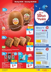 Süßigkeiten im Netto Marken-Discount Prospekt in Pinneberg Aktueller Netto Marken-Discount Prospekt mit Süßigkeiten, "Aktuelle Angebote", Seite 5