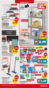 Teppichboden im Penny Prospekt "Wer günstig will, muss Penny." mit 42 Seiten (Braunschweig)