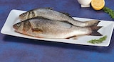 Bar d'aquaculture - Super U à Les Mureaux Bar d'aquaculture en promo chez Super U Les Mureaux à 10,95 €