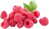 Himbeeren von REWE Beste Wahl im aktuellen REWE Prospekt für 1,99 €