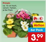 Aktuelles Primeln Angebot bei Netto Marken-Discount in Freiburg (Breisgau) ab 3,99 €