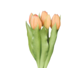 Kunstblumen Tulpen-Bund Angebote bei Sconto SB Kiel für 2,95 €