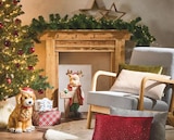 Aktuelles Weihnachtsbaum Angebot bei Möbelzentrum Pforzheim in Filderstadt ab 4,99 €