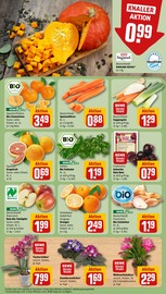 Ähnliche Buchsbaum Angebote im Prospekt "Dein Markt" von REWE in Fürth Ähnliche Angebote wie Buchsbaum im Prospekt "Dein Markt" auf Seite 9 von REWE in Fürth