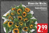 E center - Sonnenblumen Angebot im Prospekt Sonnenblumen bei E center im Prospekt "" für 2,99 €